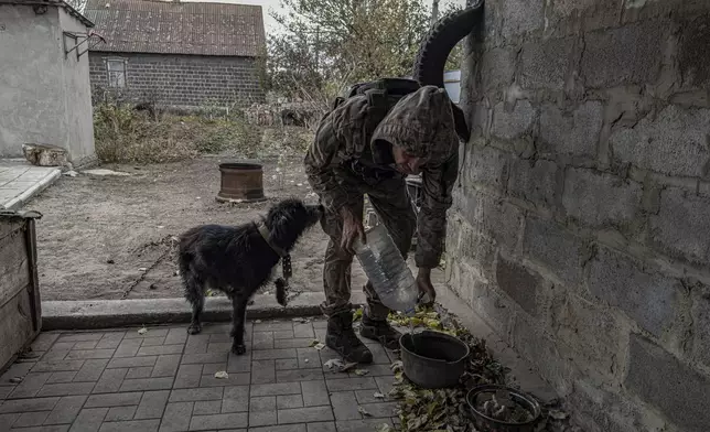 Pipa Vasyl, a policeman of the White Angels" unit gives water to a dog abandoned by its owners who left the town of Kurakhove, Donetsk region, Ukraine, on Nov. 4, 2024. (AP Photo/Anton Shtuka)