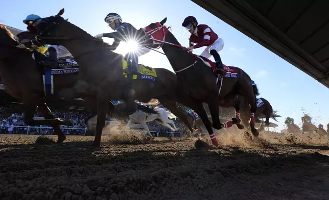 Riders compete in the Breeders' Cup Classic horse race in Del Mar, Calif., Saturday, Nov. 2, 2024. (AP Photo/Gregory Bull)