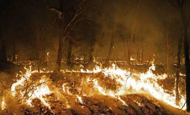 This image provided by New Jersey Department of Environmental Protection shows the wildfire in Jennings Creek, N.J., Saturday, Nov. 9, 2024. (New Jersey Department of Environmental Protection via AP)