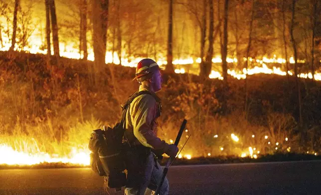 This image provided by New Jersey Department of Environmental Protection shows the wildfire in Jennings Creek, N.J., Saturday, Nov. 9, 2024. (New Jersey Department of Environmental Protection via AP)