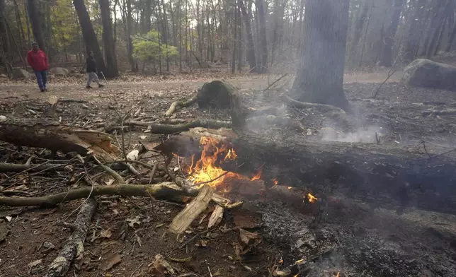 People walk along a path near flames on the forest floor, in Lynn Woods Reservation, Sunday, Nov. 10, 2024, in Lynn, Mass. (AP Photo/Steven Senne)