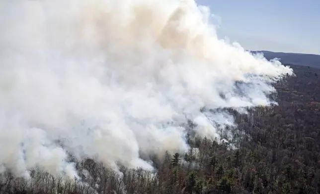 This image provided by New Jersey Department of Environmental Protection shows the wildfire in Jennings Creek, N.J., Saturday, Nov. 9, 2024. (New Jersey Department of Environmental Protection via AP)