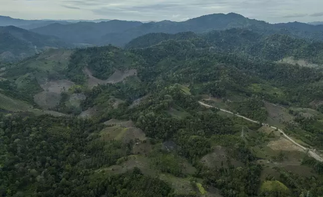 Deforestation is visible near the areas of several wood pellet production companies in Pohuwato, Gorontalo province, Indonesia, Tuesday, Oct. 22, 2024. (AP Photo/Yegar Sahaduta Mangiri)