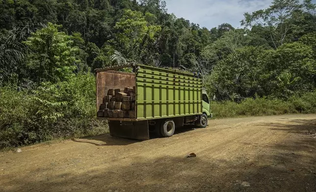 A truck carrying logs is parked on the side of a road leading to the concession areas of several wood pellet production companies in Pohuwato, Gorontalo province, Indonesia, Tuesday, Oct. 22, 2024. (AP Photo/Yegar Sahaduta Mangiri)