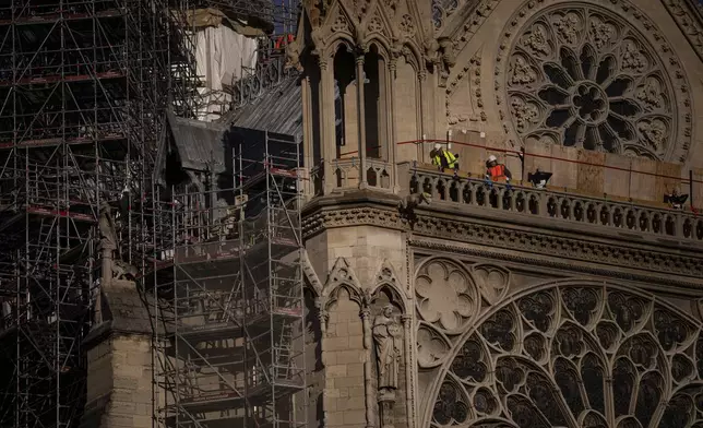 Workers stand on Notre-Dame cathedral in Paris, Wednesday, Nov. 20, 2024. (AP Photo/Louise Delmotte)