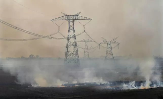 Farmers burn crop residue after harvest near Bundelkhand expressway some 330 kilometers (206 miles) from New Delhi, India, Sunday, Nov. 17, 2024. (AP Photo/Manish Swarup)