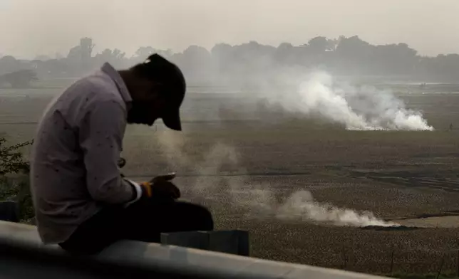 A person checks his mobile phone as farmers burn crop residue after harvest near Bundelkhand expressway some 330 kilometers (206 miles) from New Delhi, India, Sunday, Nov. 17, 2024. (AP Photo/Manish Swarup)