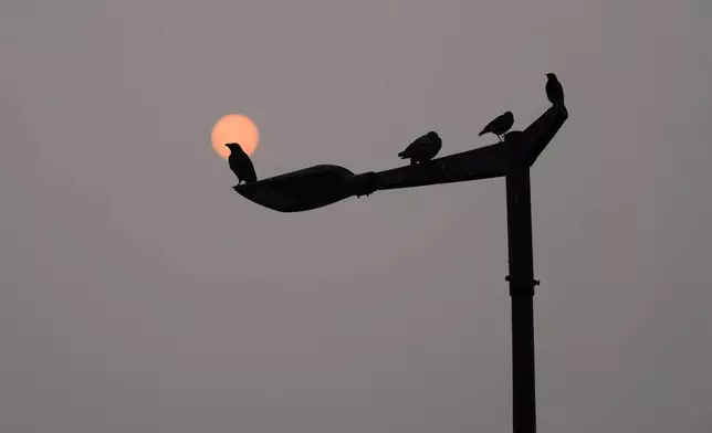 Sun is seen through a thick layer of smog as air pollution shoots up in New Delhi, India, Monday, Nov. 18, 2024. (AP Photo/Manish Swarup)