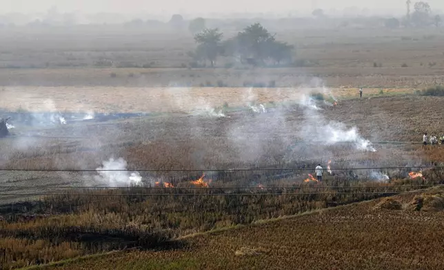 Farmers burn crop residue after harvest near Bundelkhand expressway some 330 kilometers (206 miles) from New Delhi, India, Sunday, Nov. 17, 2024. (AP Photo/Manish Swarup)