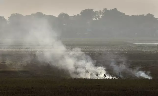 A farmer burns crop residue after harvest near Bundelkhand expressway some 330 kilometers (206 miles) from New Delhi, India, Sunday, Nov. 17, 2024. (AP Photo/Manish Swarup)