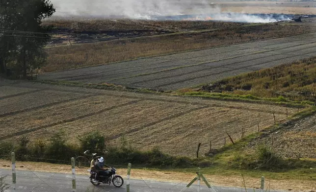 Farmers burn crop residue after harvest near Bundelkhand expressway some 330 kilometers (206 miles) from New Delhi, India, Sunday, Nov. 17, 2024. (AP Photo/Manish Swarup)