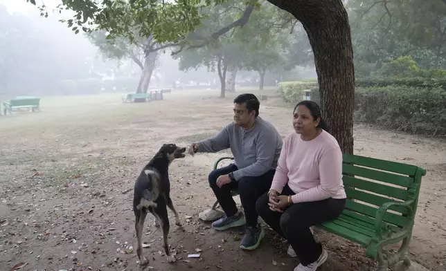 Rajiv Gupta pets a dog with his wife Manisha Gupta seated beside him in the smog-enveloped Lodhi Gardens in New Delhi, India, Friday, Nov. 15, 2024. (AP Photo/Manish Swarup)