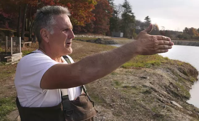 Steve Ward, a second-generation cranberry grower, gestures from the edge of his bog during a harvest at Rocky Meadow Bog, Friday, Nov. 1, 2024, in Middleborough, Mass. (AP Photo/Charles Krupa)