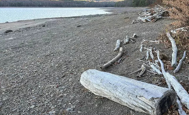 Receding waters expose the lake bed at the Ashokan Reservoir in Ulster County, New York, on Wednesday, Nov. 13, 2024. (AP Photo/Ted Shaffrey)