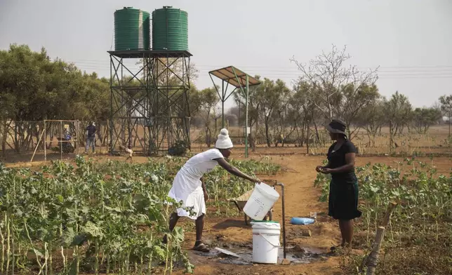 Villagers fill water buckets in a plot that is part of a climate-smart agriculture program funded by the United States Agency for International Development in Chipinge, Zimbabwe on Thursday, Sept. 19, 2024. (AP Photo/Aaron Ufumeli)