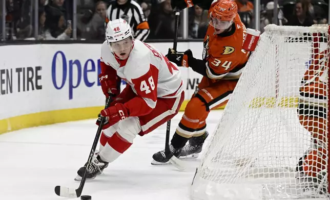 Detroit Red Wings right wing Jonatan Berggren (48) controls the puck with Anaheim Ducks defenseman Pavel Mintyukov (34) in pursuit during the second period of an NHL hockey game in Anaheim, Calif., Friday, Nov. 15, 2024. (AP Photo/Alex Gallardo)