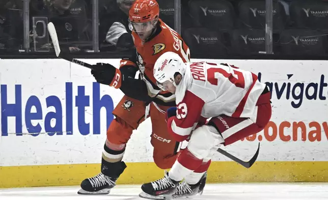 Anaheim Ducks left wing Cutter Gauthier, left, vies for the puck with Detroit Red Wings left wing Lucas Raymond during the first period of an NHL hockey game in Anaheim, Calif., Friday, Nov. 15, 2024. (AP Photo/Alex Gallardo)