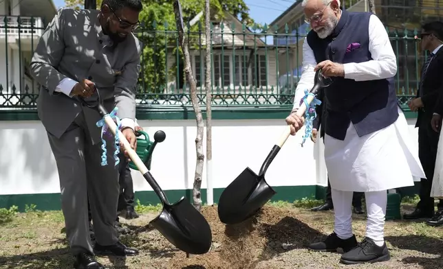 Guyana's President Mohammed Irfaan Ali, left, and India's Prime Minister Narendra Modi, plant a tree on the grounds of Government House in Georgetown, Guyana, Wednesday, Nov. 20, 2024. (AP Photo/Matias Delacroix)