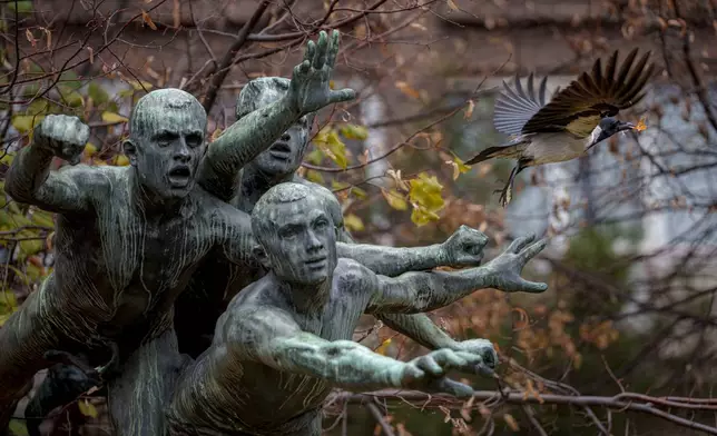 A bird flies off from a statue in Bucharest, Romania, Friday, Nov. 22, 2024. (AP Photo/Andreea Alexandru)