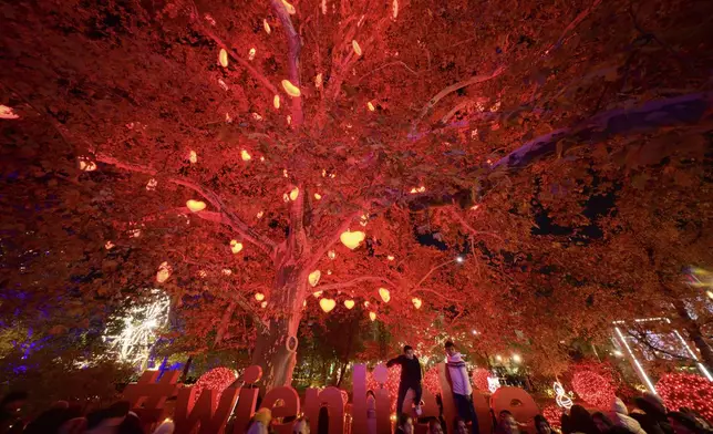 People crowd the Wiener Chritkindlmarkt in front of Vienna's city hall, one of Vienna's most popular Christmas markets, in Vienna, Austria, Saturday, Nov. 16, 2024. (AP Photo/Christian Bruna)