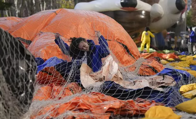 Ash Ditaranto tries to disentangle herself from a net after helping to inflate a float in preparation for the Macy's Thanksgiving Day Parade in New York, Wednesday, Nov. 27, 2024. (AP Photo/Seth Wenig)