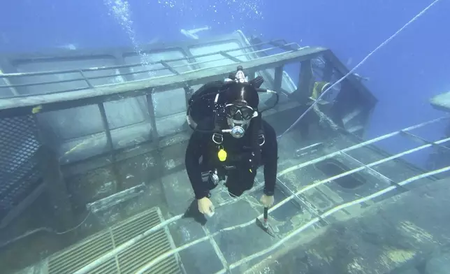 In this Oct 2024 photo provided by the New Zealand Defence Force, a diver survey's the HMNZS Manawanui on the southern coast of Upulo, Samoa, after the Manawanui ran aground and sank on Oct. 6. (New Zealand Defence Force via AP)