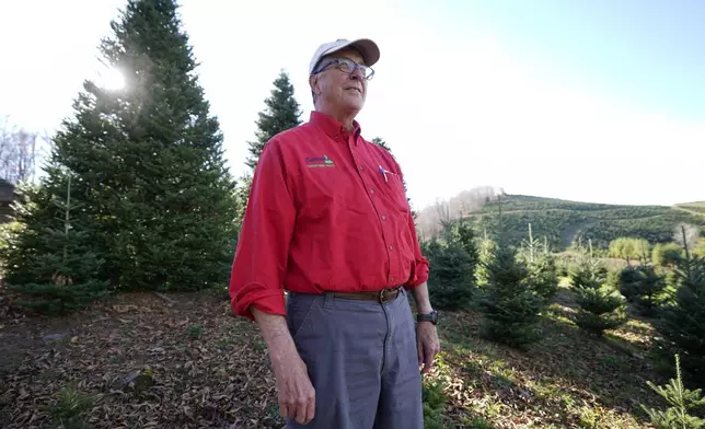 Sam Cartner Jr., co-owner of Cartner's Christmas Tree Farm, poses for a photo next to the official White House Christmas tree, a 20-foot Fraser fir, Wednesday, Nov. 13, 2024, in Newland, N.C. (AP Photo/Erik Verduzco)