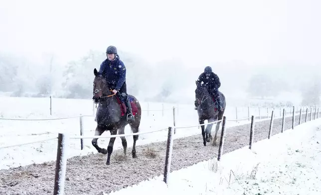 Horses on the gallops during snowfall at Sam Drinkwater's Granary Stables, Strensham, Worcestershire, Britain, Tuesday Nov. 19, 2024. PA (David Davies/PA via AP)