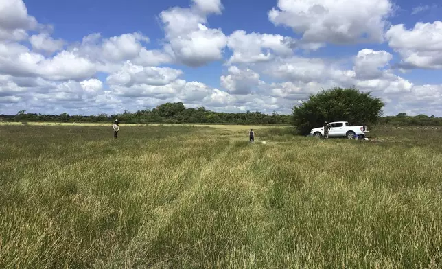 This 2019 photo provided by the Belize River East Archaeology project shows investigations of wetland canal features in the CTWS by the research team in Belize. (Belize River East Archaeology project via AP)