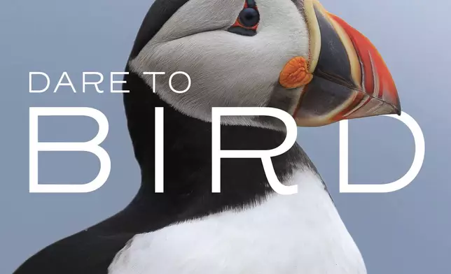 This photo shows the cover of “Dare to Bird” by Melissa Hafting. (Rocky Mountain Books via AP)