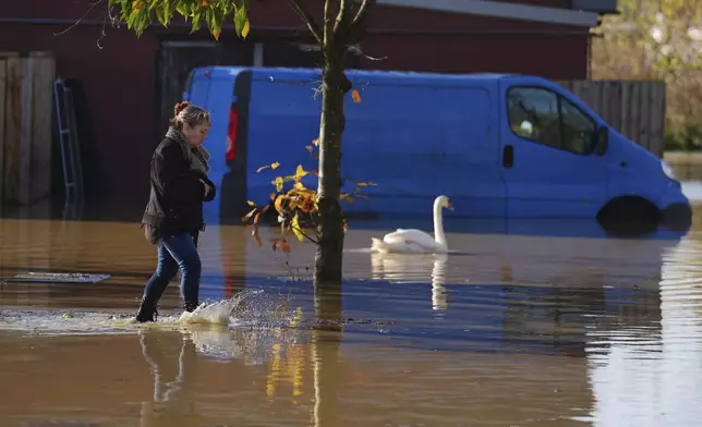 A woman walks through floodwater with a swan swimming next to her, at the Billing Aquadrome in Northamptonshire, England, Monday Nov. 25, 2024, after Storm Bert caused "devastating" flooding over the weekend. (Jordan Pettitt/PA via AP)