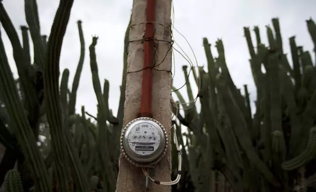 FILE - A Federal Electricity Commission or CFE electric meter is attached to a pole in a field of cacti, in San Jeronimo Xayacatlan, Mexico, June 24, 2020. (AP Photo/Fernando Llano, File)