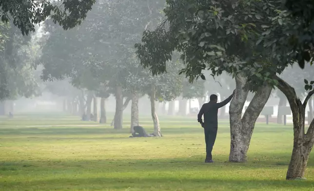 A man leans on a tree on a smoggy morning in New Delhi, India, Thursday, Nov. 14, 2024. (AP Photo/Manish Swarup)