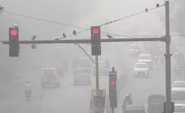 Pigeons rest on a traffic light post surrounded by a thick layer of smog in New Delhi, India, Thursday, Nov. 14, 2024. (AP Photo/Manish Swarup)