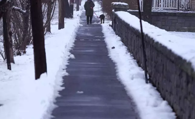 A man walks a dog as light rain falls during a winter storm, Wednesday, Dec. 11, 2024, in Concord, N.H. (AP Photo/Charles Krupa)