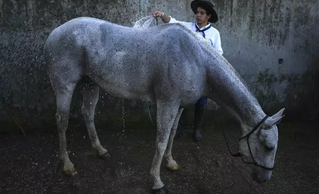 A gaucho, or South American cowboy, bathes a horse during the Criolla Week rodeo festival, in Montevideo, Uruguay, on March 26, 2024. (AP Photo/Matilde Campodonico)