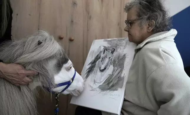 Homer, a miniature horse used for therapy programs, smells a painting of its portrait, created by Stamatina, right, a resident of a psychiatric clinic for adults in Nea Makri, about 38 kilometres (60m miles) east of Athens, Greece, on Friday, Nov. 15, 2024. (AP Photo/Thanassis Stavrakis)