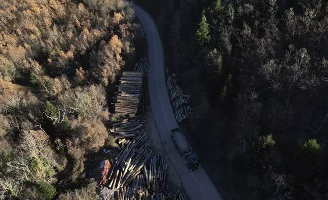 A truck drives through a forest in Fourna village, central Greece, Tuesday, Nov. 26, 2024. (AP Photo/Thanassis Stavrakis)