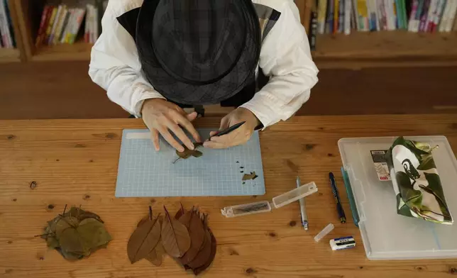 Japanese leaf-cutting artist, who goes by the name Lito, cuts a leaf with a design knife for his work, during an interview in Tokyo Wednesday, Nov. 27, 2024. (AP Photo/Shuji Kajiyama)