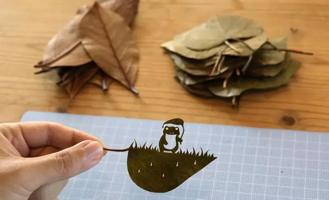 Japanese leaf-cutting artist, who goes by the name Lito, holds his freshly cut work featuring a frog with an umbrella during an interview in Tokyo Wednesday, Nov. 27, 2024. (AP Photo/Shuji Kajiyama)