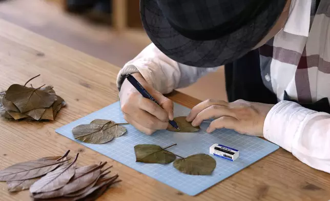 Japanese leaf-cutting artist, who goes by the name Lito, outlines on the leaf with a pen for his work in Tokyo Wednesday, Nov. 27, 2024. (AP Photo/Shuji Kajiyama)