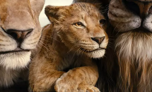 This image released by Disney shows characters Afia, voiced by Anika Noni Rose, left, Mufasa, voiced by Braelyn Rankins, center, and Masego, voiced by Keith David, in a scene from "Mufasa: The Lion King." (Disney via AP)