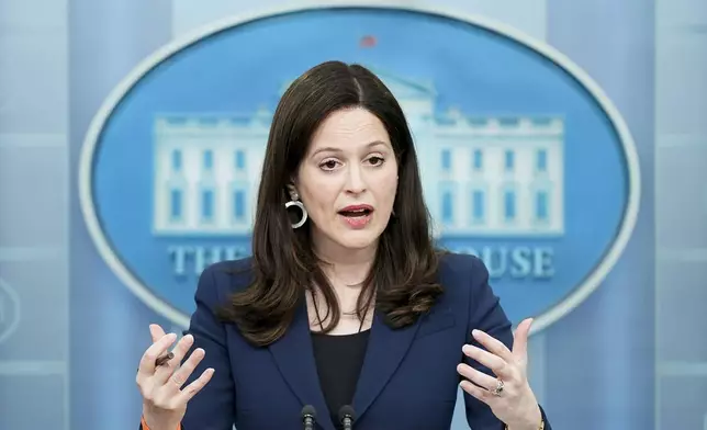 FILE - Anne Neuberger, Deputy National Security Advisor for Cyber and Emerging Technology, speaks during a press briefing at the White House,March 21, 2022, in Washington. (AP Photo/Patrick Semansky, File)