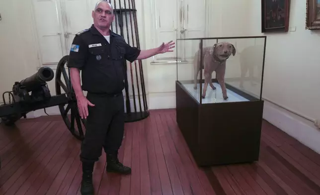 Lt. Col. Sidnei Robson Pazini stands next to an exhibition of Bruto, a caramelo dog-turned-national hero from a war in Paraguay, at the Military Police Museum in Rio de Janeiro, Thursday, Nov. 28, 2024. (AP Photo/Silvia Izquierdo)