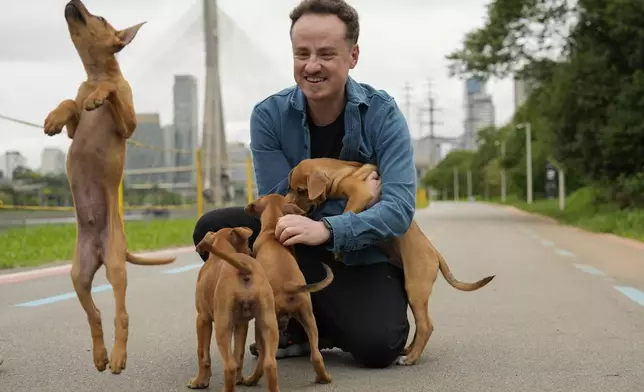 Director Diego Freitas plays with caramelo dogs on the set of the Netflix film "Caramelo" in Sao Paulo, Tuesday, Oct. 29, 2024. (AP Photo/Andre Penner)