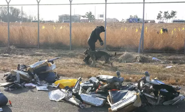 A police officer works with a dog outside of Muan International Airport in Muan, South Korea, Monday, Dec. 30, 2024. (AP Photo/Ahn Young-joon)