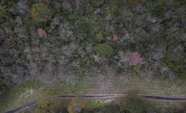 A narrow path runs by the wooded area that was once part of the US Steel Pratt mines near the prison wall and Slope No. 12, Sunday, Dec. 8, 2024, in Birmingham, Ala. (AP Photo/Carolyn Kaster)