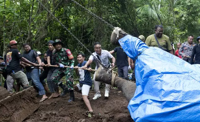 Workers prepare for removal of the carcass of Molly, a 45-year-old female Sumatran elephant that was found dead after being swept away by a flood from Bali Zoo on Monday, in Gianyar, Bali, Indonesia, Tuesday, Dec. 17, 2024. (AP Photo/Firdia Lisnawati)
