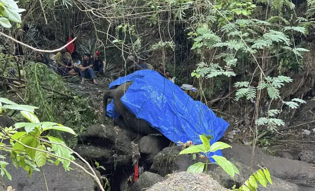 Workers wait for heavy machines to evacuate the carcass of Molly, a 45-year-old female Sumatran elephant from Bali Zoo that was found dead after being swept away by a flood on Monday, in Gianyar, Bali, Indonesia, Tuesday, Dec. 17, 2024. (AP Photo/Firdia Lisnawati)