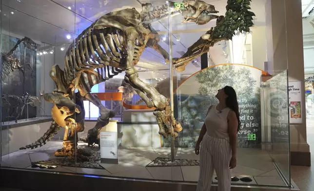 Paleontologist Thaís Pansani stands in front the reconstructed skeleton of a giant ground sloth at the Smithsonian National Museum of Natural History in Washington, on July 11, 2024. (AP Photo/Mary Conlon)